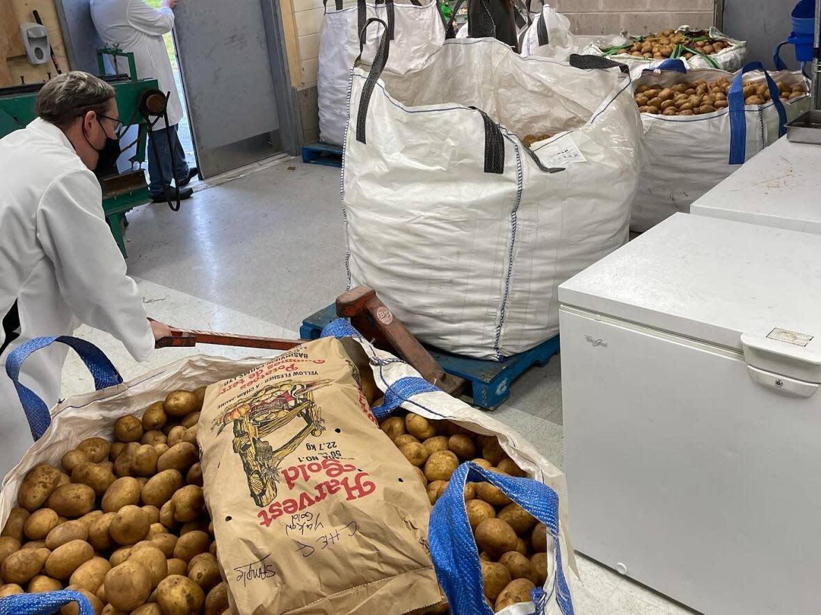 A large bag of potatoes is seen inside The Station Food Company's facility in Newport Station. These potatoes will be turned into mashed potatoes and distributed to Nova Scotia hospitals over the coming weeks. (The Station Food Hub/Facebook - image credit)