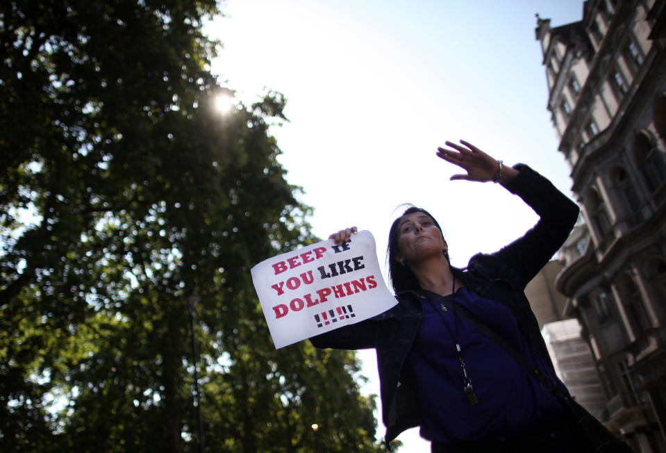 Protestors Demonstrate Outside The Japanese Embassy As Dolphin Hunting Begins