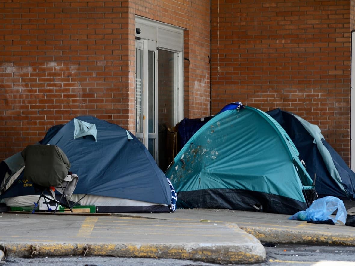 This winter's measures are a continuation of efforts that were launched and developed during the pandemic since March 2020 when Mayor Valérie Plante declared a state of emergency.  (Jean-Claude Taliana/CBC - image credit)