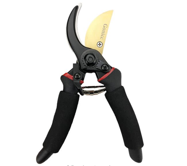 Find these Gonicc 8" Professional Premium Titanium Bypass Pruning Shears for $26 on <a href="https://amzn.to/2XUknE7" target="_blank" rel="noopener noreferrer">Amazon</a>.