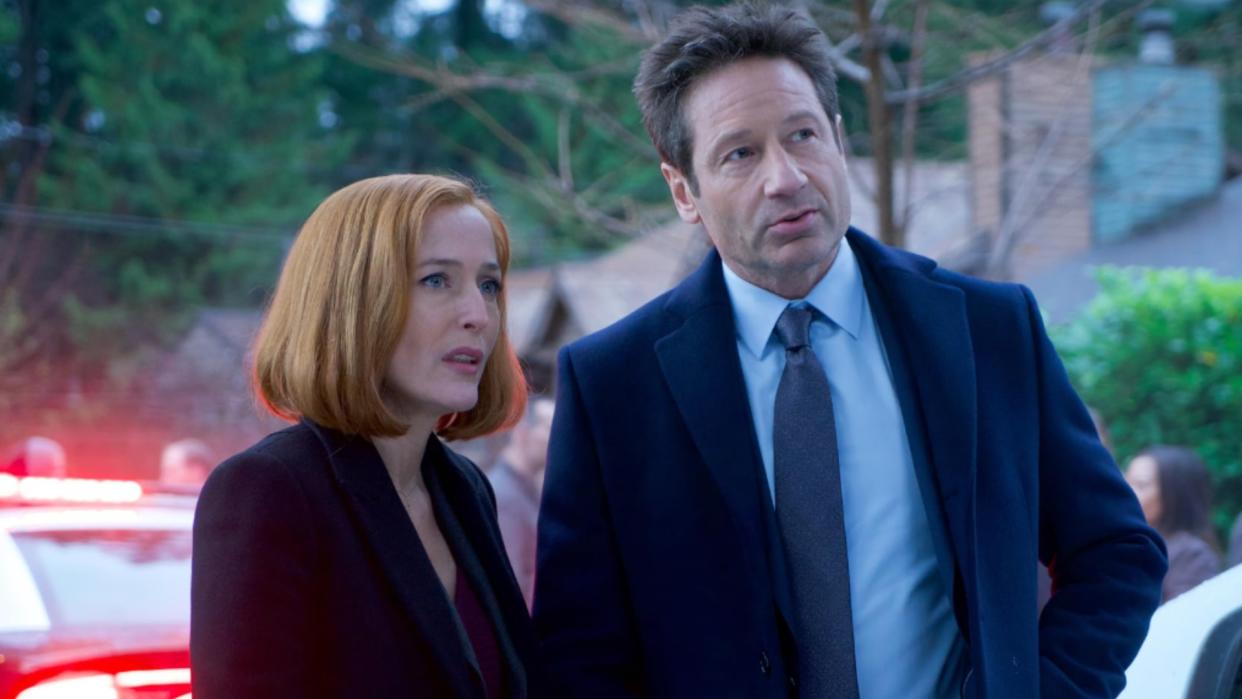  Gillian Anderson and David Duchovny in The X-Files. 