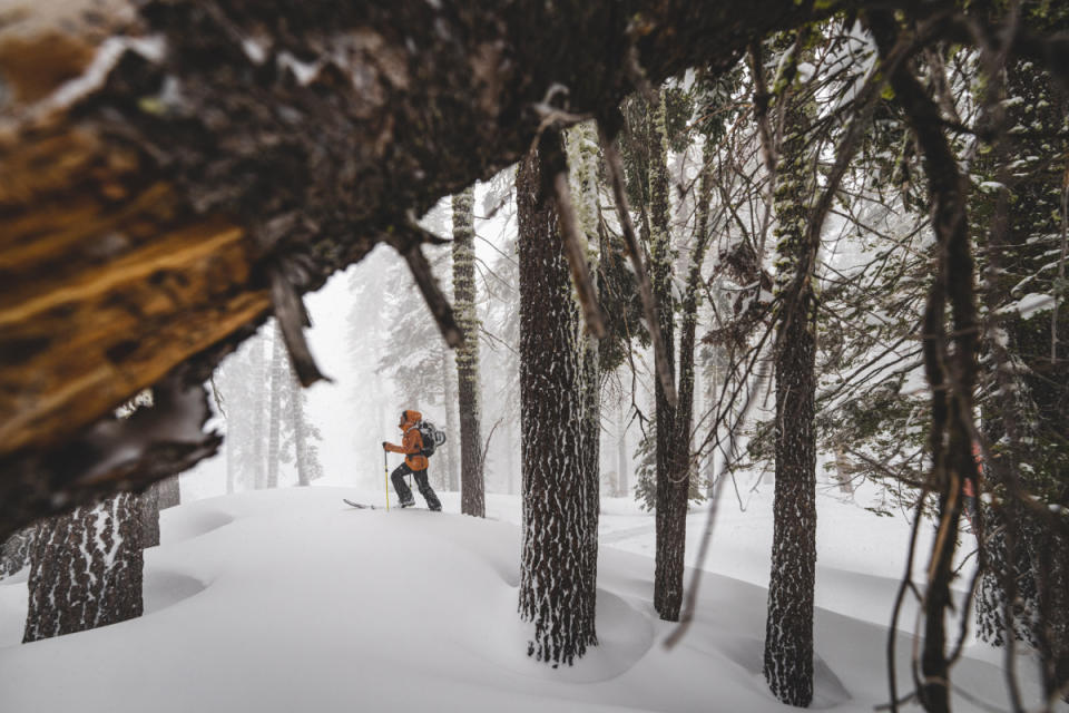 Amie Engerbretson ski touring.