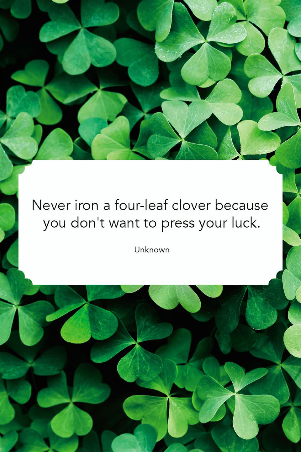 <p>"Never iron a four-leaf clover because you don't want to press your luck."</p>