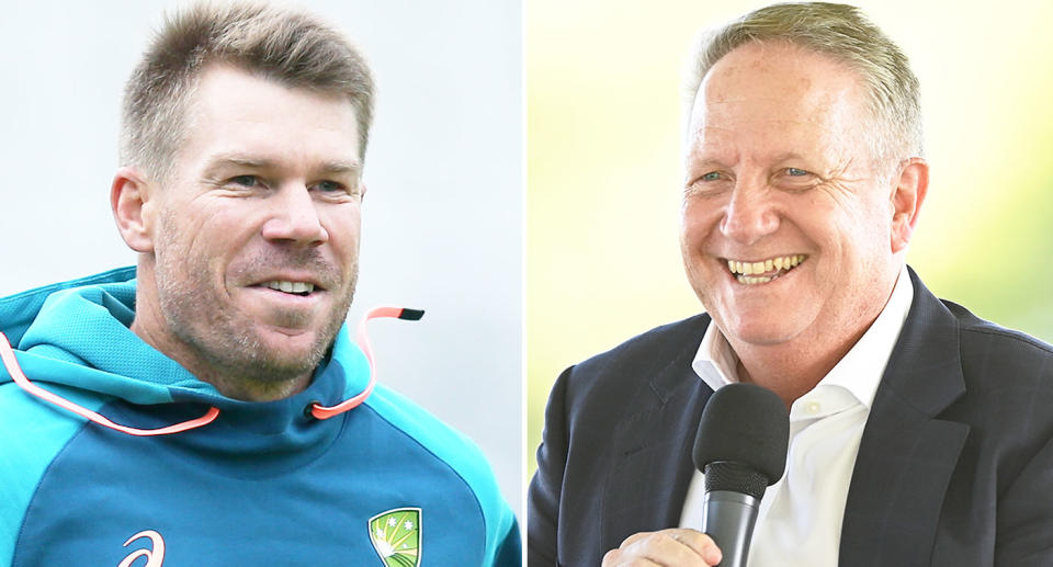 Ian Healy wants David Warner to focus more on the positives rather than be concerned about proving critics wrong. Pic: Getty