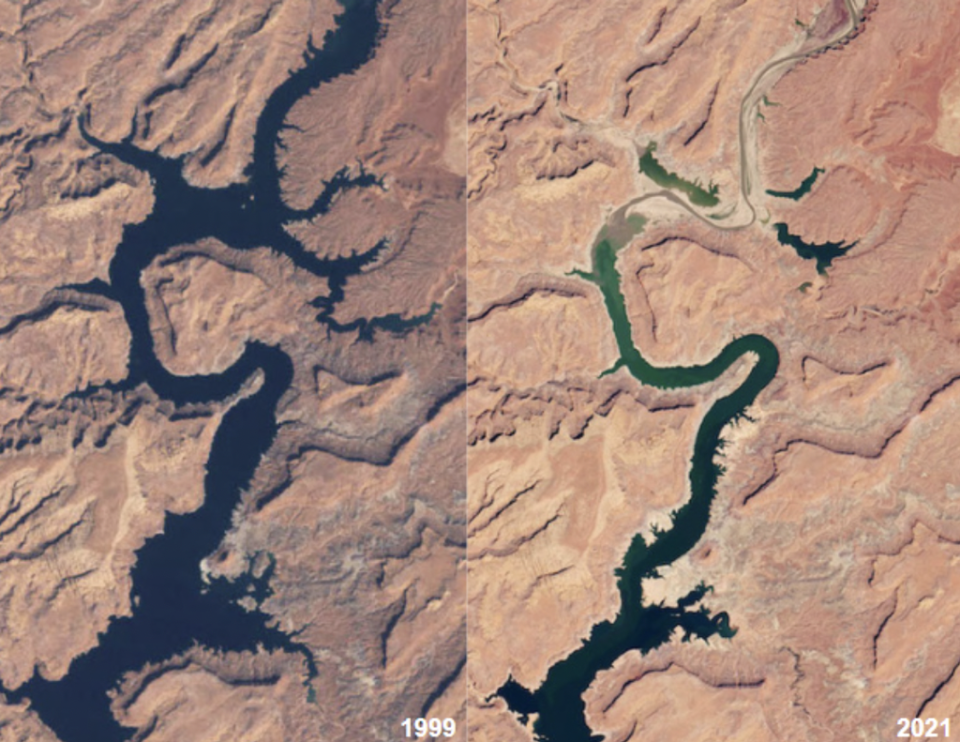 A composite photo of Lake Powell in southwest US, which shows the area in 1999 and in 2021 (NASA Earth Observatory)