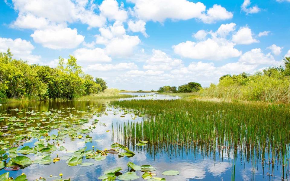 Everglades National Park, Florida