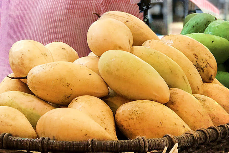 Large, ripe sweet mangoes are the way to go.