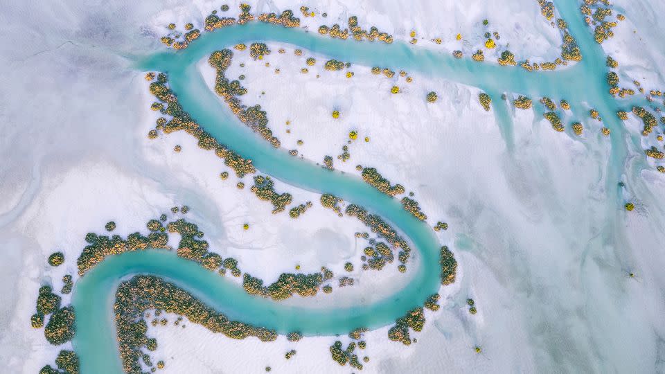 Mangrove trees on the banks of a<strong> </strong>water channel in Al Dhafra, United Arab Emirates. - Ammar Alsayed Ahmed/Mangrove Photography Awards