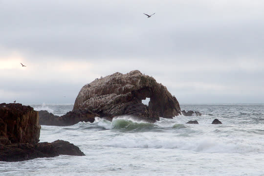 A Rock Heart in San Francisco