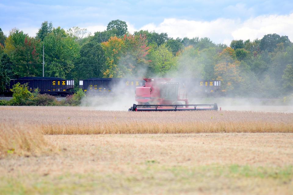 An Ohio farmer picks soybeans with a combine harvester in a Crawford County.