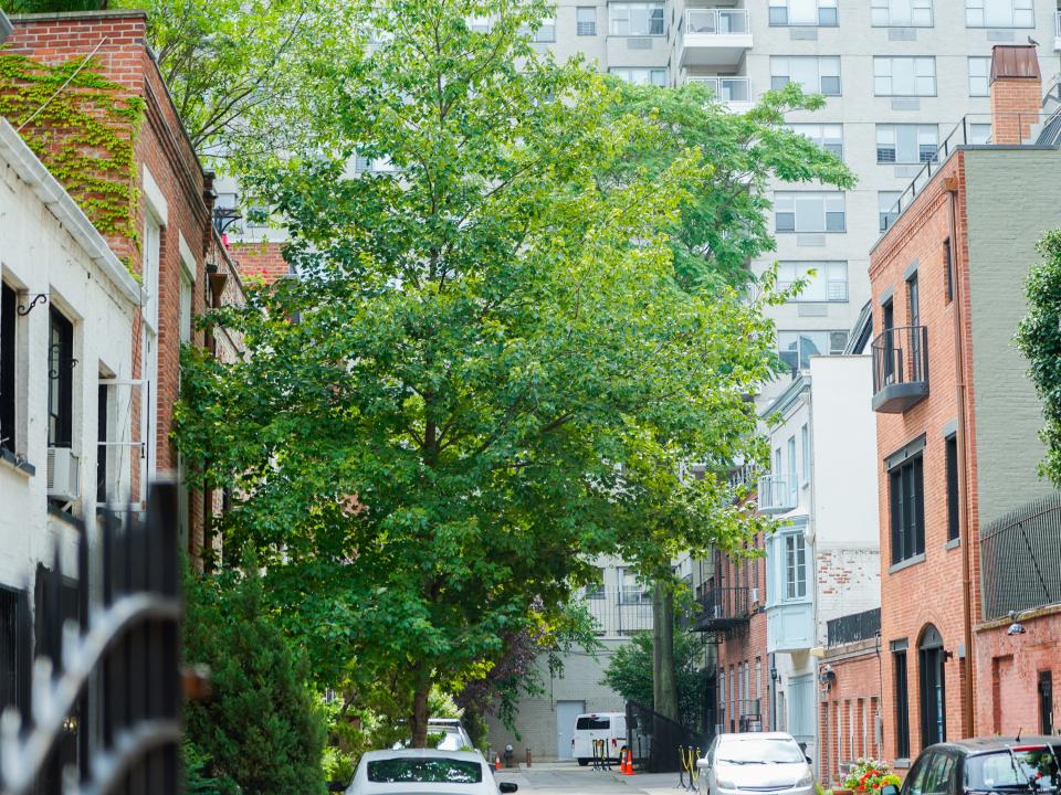 A view of a residential block from above a fence with trees on the left side.