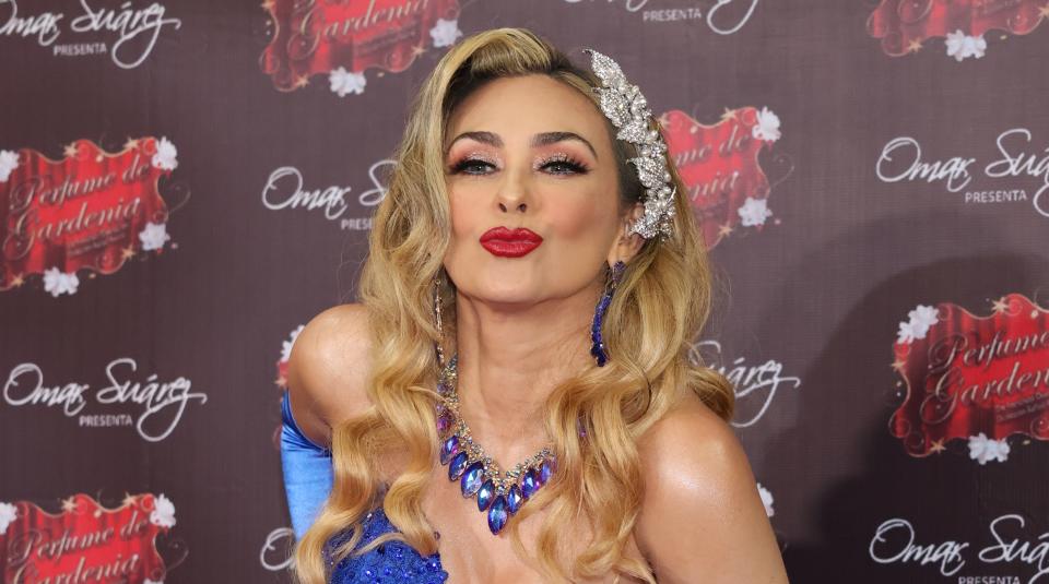 Aracely Arámbula / Agencia México 