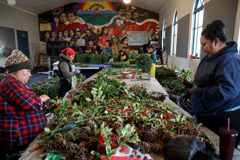Elia Cordero has worked in the fields for 20 years, and loves it. The Christmas wreath drive helps supplement her income during the slowest season of the year.