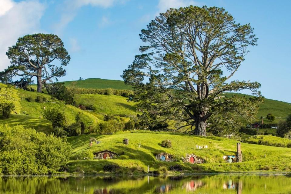 Green rolling hills and big trees on the Hobbit movie set in New Zealand