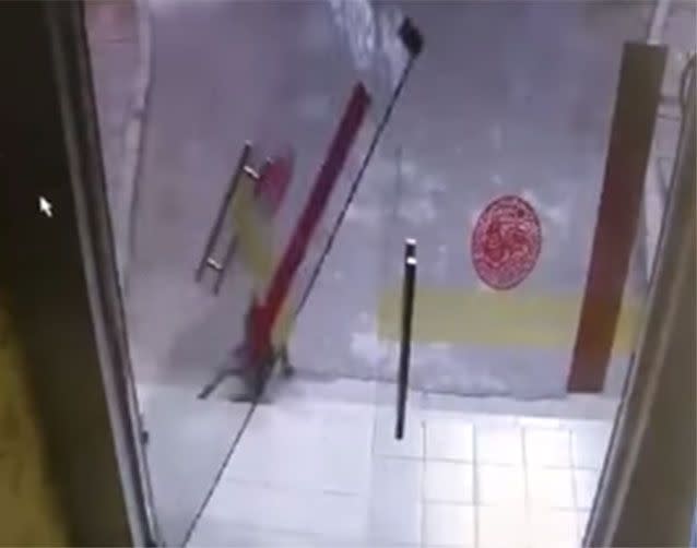 The dog slams into the open glass window, sending it flying from its hinges. Picture: People's Daily, China/YouTube