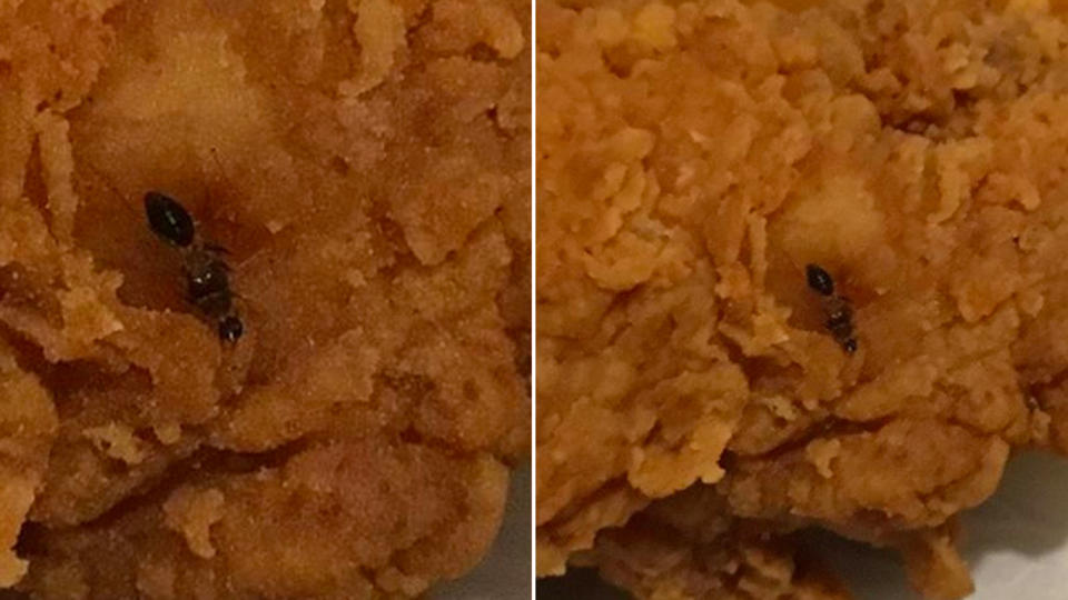 When Rosie got her KFC home, she says found what appears to be a dead flying ant under the crispy coating of a chicken wing. Source: Supplied