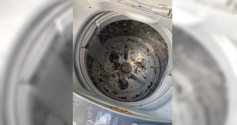 洗衣機炸出屎色髒塊。
