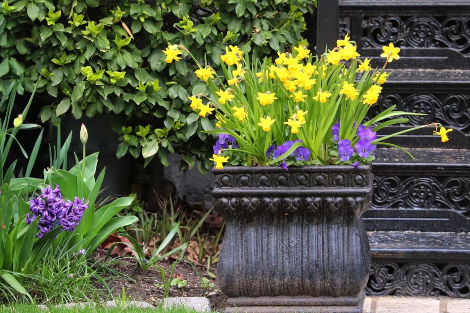 container gardening ideas