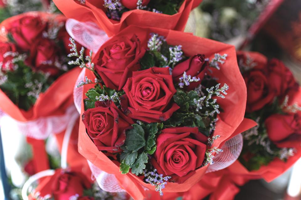 Close-up of Roses Bouquet, Nuremberg City, Bavaria, Franconia, Germany, Europe