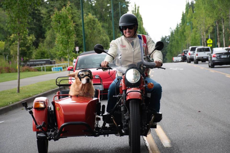 Buddy the golden retriever, left, and his owner Mike Stevens cruise down Harborview Drive as the duo heads to Costco on Monday, June 17, 2024, in Gig Harbor. AMBER RITSON