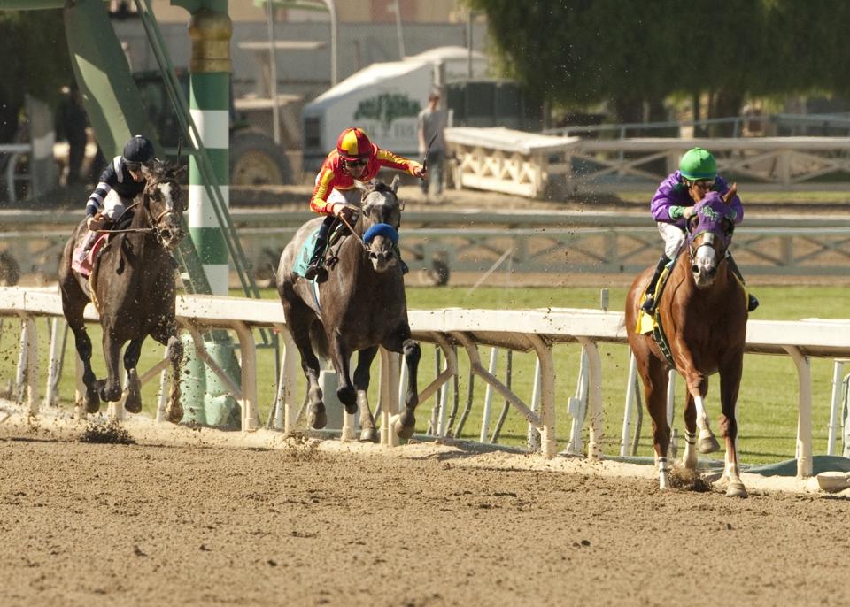 In this image provided by Benoit Photo, California Chrome, right, ridden by Victor Espinoza, leads wire-to-wire to win the San Felipe Stakes horse race Saturday, March 8, 2014 at Santa Anita Park in Arcadia, Calif. (AP Photo/Benoit Photo) ©Benoit Photo