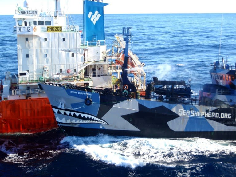 The arch enemies have waged a legal and public relations battle as Sea Shepherd has sought to disrupt an annual whale hunt in the Antarctic that Japan defends as scientific research