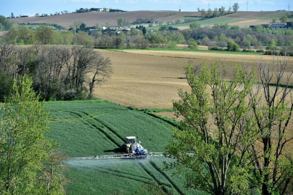 A farmer sprays chemicals to treat his wheat fields, on April 17, 2018 in Villefranche-de-Lauragais. (Photo by REMY GABALDA / AFP)