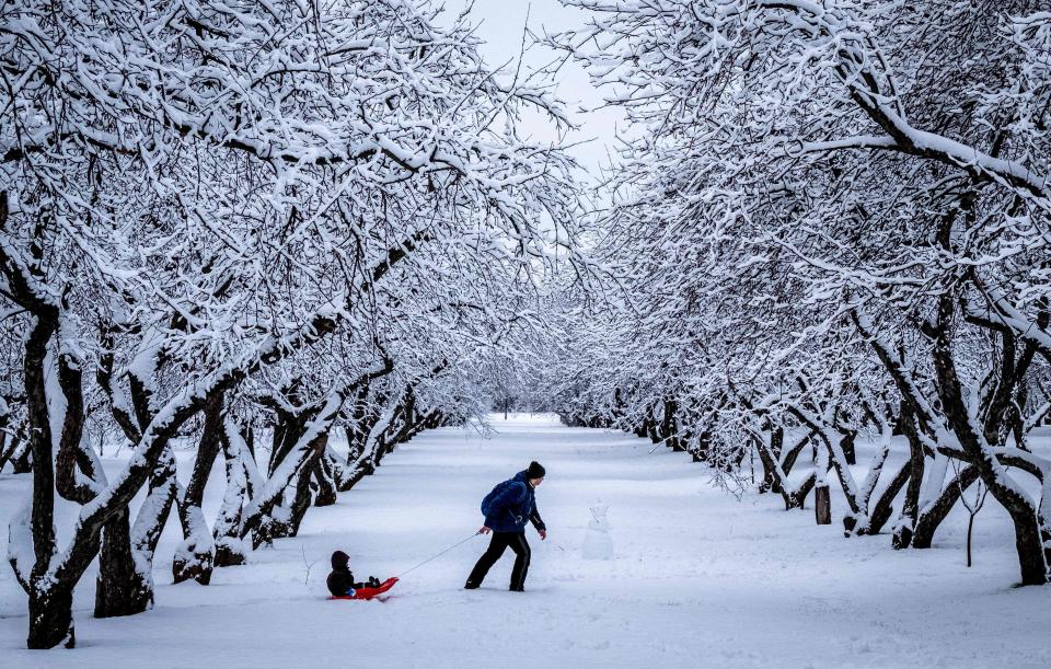 (Photo: YURI KADOBNOV via Getty Images)