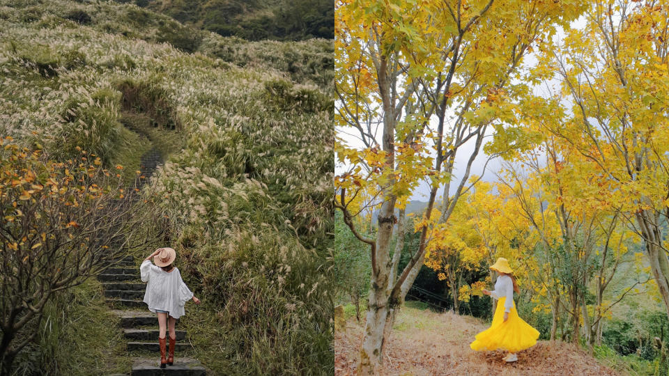 搭捷運「秋」旅行 楓紅秘境、親山步道、溫泉巡禮！台北城郊一日遊提案
