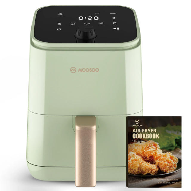 You Can Buy The Ninja AF100 4-Quart Air Fryer For Only $40