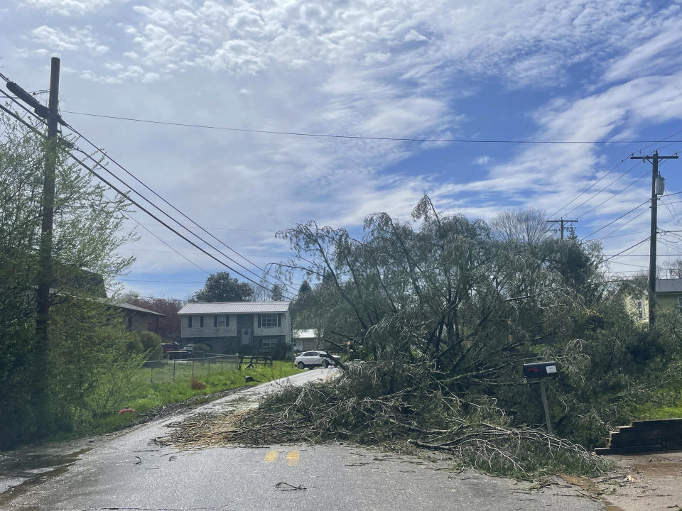 A tree covers a road after severe storms hit Tuesday, April 2, 2024, in Cross Lanes, W.Va. (AP Photo/John Raby)