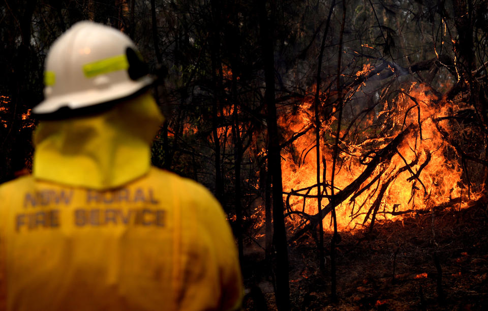 NSW Rural Fire fighters establish a backburn  in Mangrove Mountain, New South Wales, in December 2019. Source: AAP