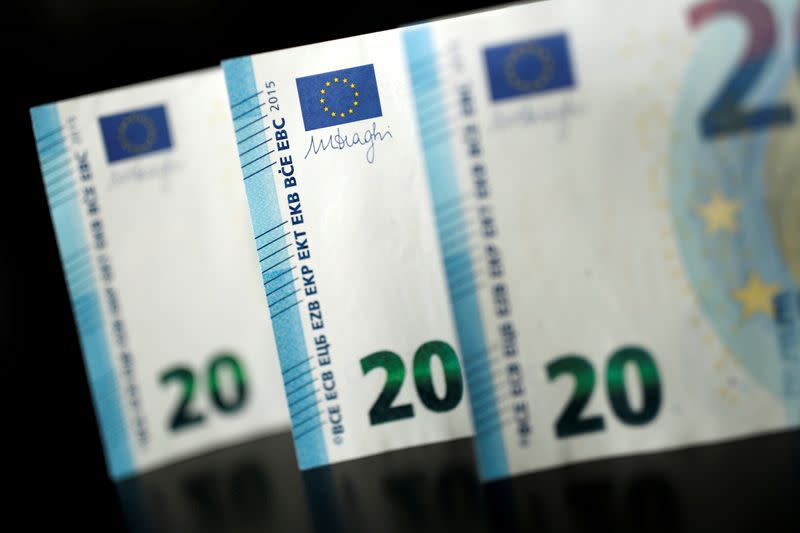 FILE PHOTO: 20 Euro banknotes are displayed is this picture illustration