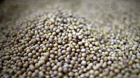 FILE PHOTO: Soy beans are seen at a storage plant in Carlos Casares, Argentina, April 16, 2018. REUTERS/Agustin Marcarian/File Photo