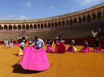 bull fighter matadors spain