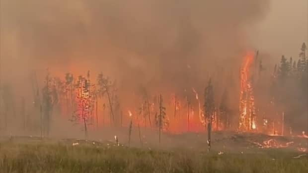 A wildfire tears through trees near Bloodvein First Nation. The community was evacuated last week and has no sense of when they'll be able to return home. (Submitted by Ryan Klassen - image credit)