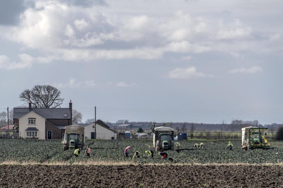 Half of England owned by less than 1 per cent of population, research finds