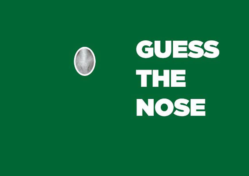 Hint: This is the only CGI nose in our quiz, and you should be able to name it.