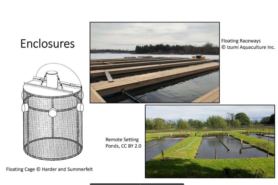 This slide from the fish committee's public presentation in March 2023 shows designs for potential enclosures that could be used to raise walleye fingerlings on Golden Lake.