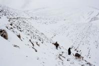 Hombres bereberes retornan a casa transportando comidas y bienes en las mulas en varios pueblos del Alto Atlas. Las colinas nevadas son el hogar de este tipo de pueblos.