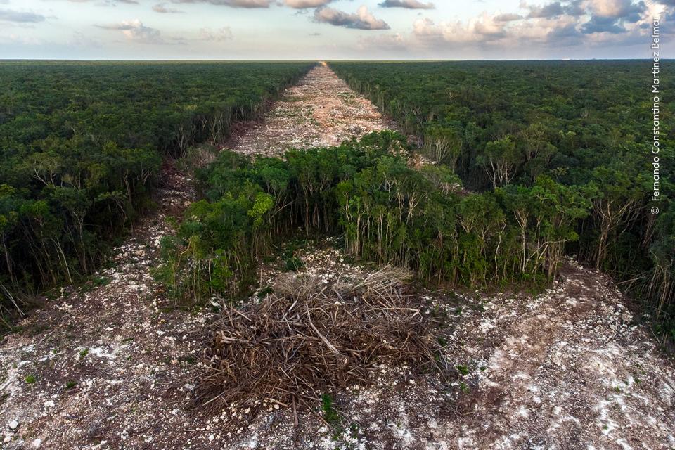 Fernando Constantino Martínez Belmar, winner of the Photojournalism category, shows the devastating path of a new cross-country tourist railway line in Paamul, Quintana Roo, Mexico.