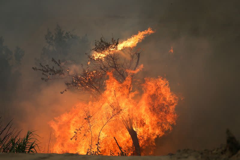 Un incendio arde en Ourem