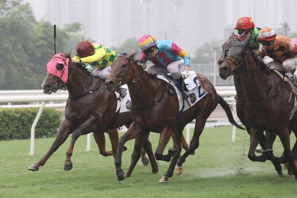伍鵬志憑「神虎龍駒」贏得從練後在港第一百場頭馬，由騎師黃智弘策騎。（圖：香港賽馬會）