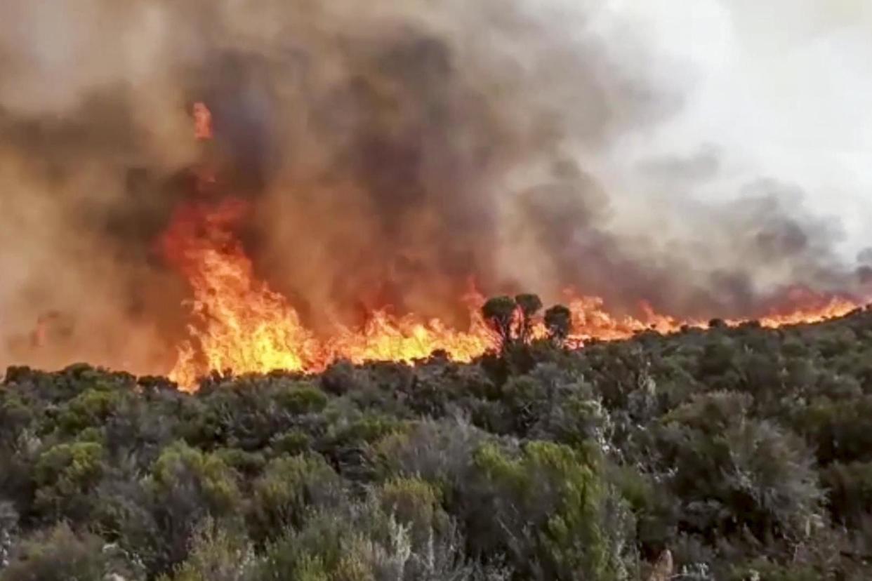 Hundreds of volunteers have been trying to put out the large blaze on Mount Kilimanjaro: AP