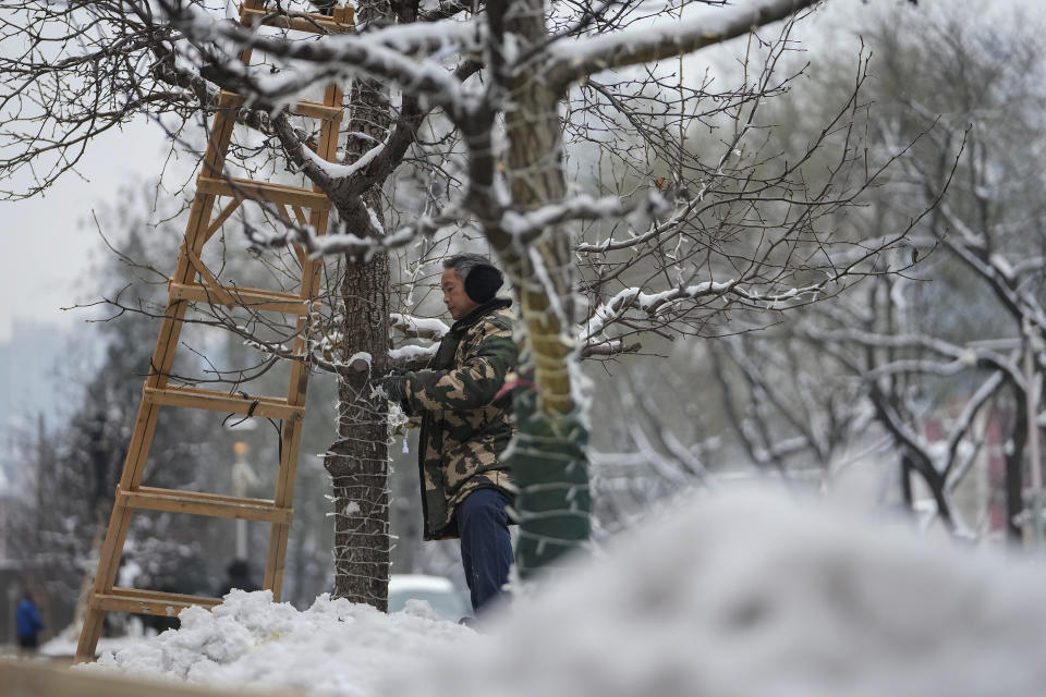 A worker installs light bulbs decoration on snow covered trees along a street for the upcoming Christmas festival and year-end season in Beijing, Tuesday, Dec. 12, 2023. Chinese leaders have wrapped up a two-day annual meeting to set economic priorities for the coming year, the official Xinhua News Agency reported Tuesday without giving details of what was decided. (AP Photo/Andy Wong)