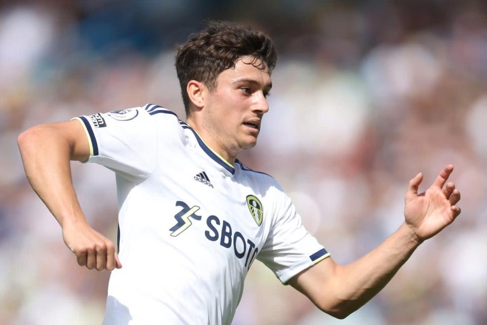Done deal: Dan James has joined Fulham on loan for the rest of the season  (Getty Images)