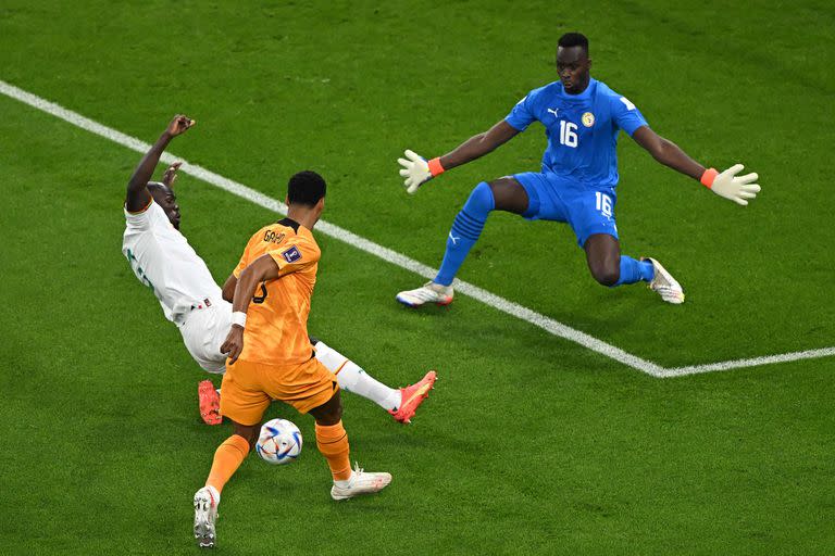 Partido entre Senegal y Países Bajos en el Estadio Al Thumama, en Doha