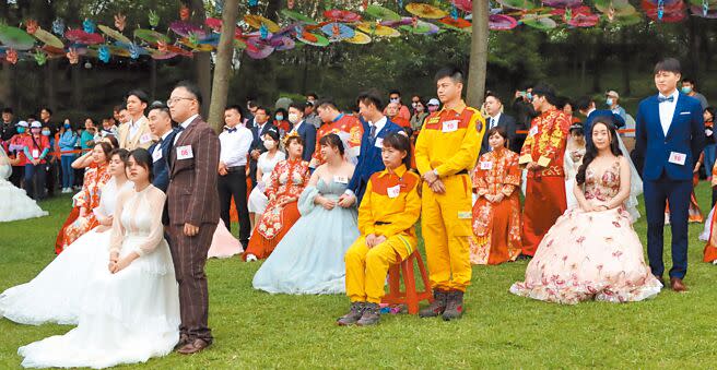 苗栗縣客家桐花婚禮昨天盛大登場，36對新人在桐花樹下互許終生，場面溫馨又浪漫。（李京昇攝）