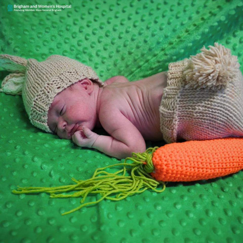 Some-bunny to love:’ Infants from Boston hospital NICU are ready for Easter and spring