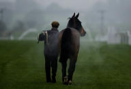 A runner is led back to the stables at Folkestone racecourse on November 15, 2011 in Folkestone, England. (Photo by Alan Crowhurst/Getty Images)